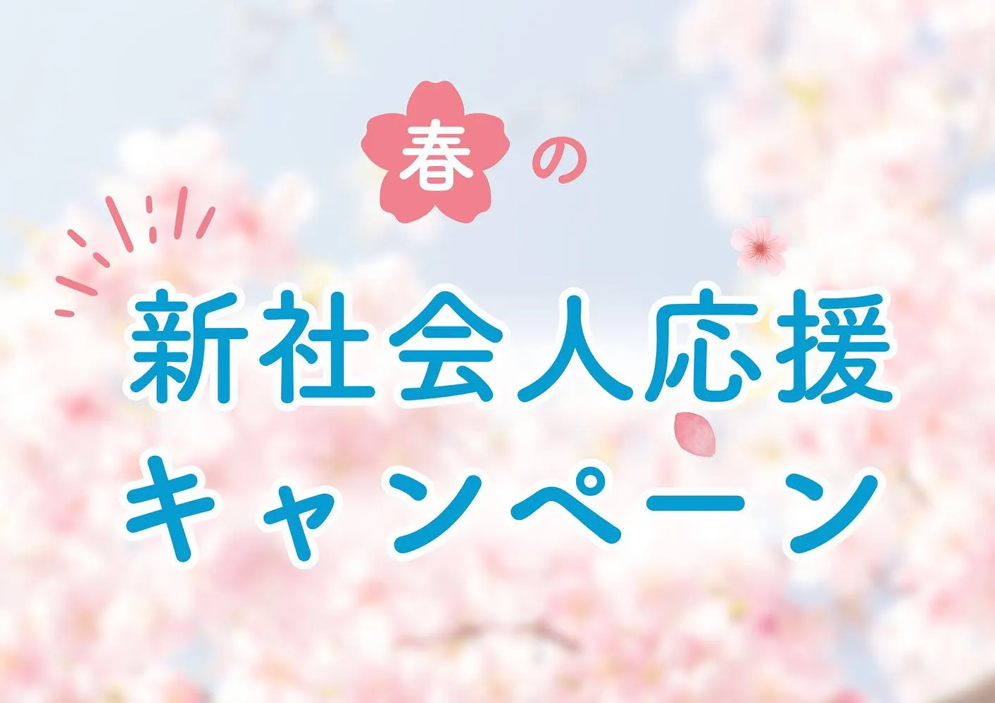 今日のご紹介車は